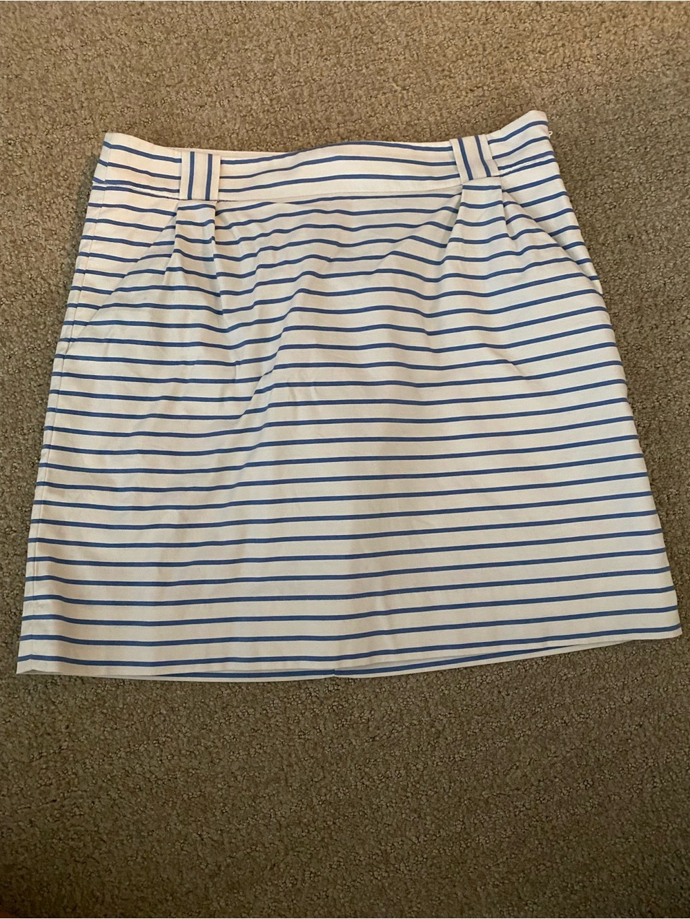 The Limited Blue & White Mini Skirt